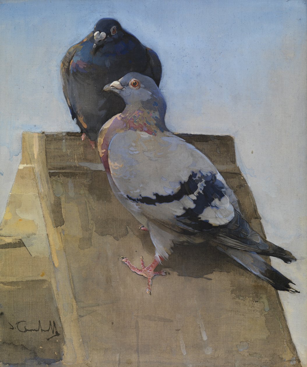 Duiven op het dak door Joseph Crawhall