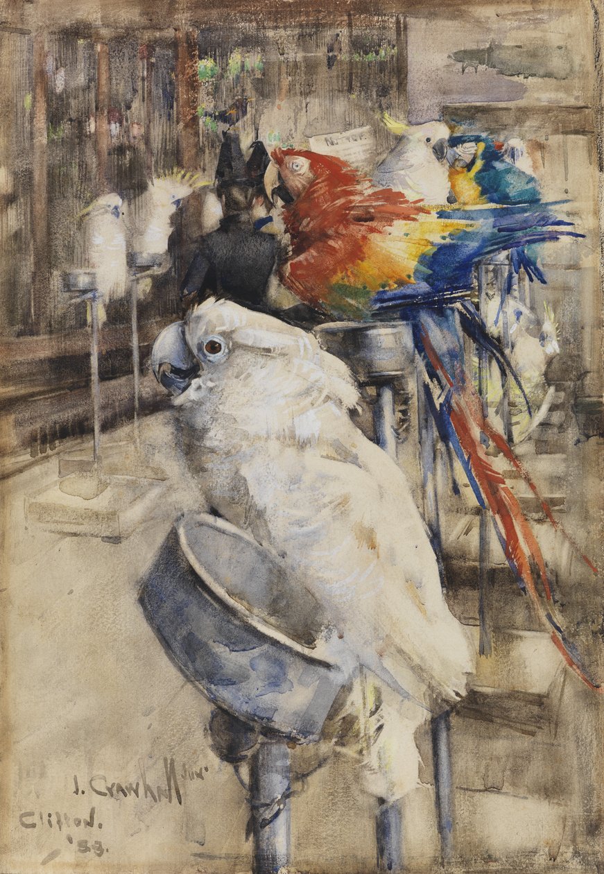 De Volière, Clifton door Joseph Crawhall