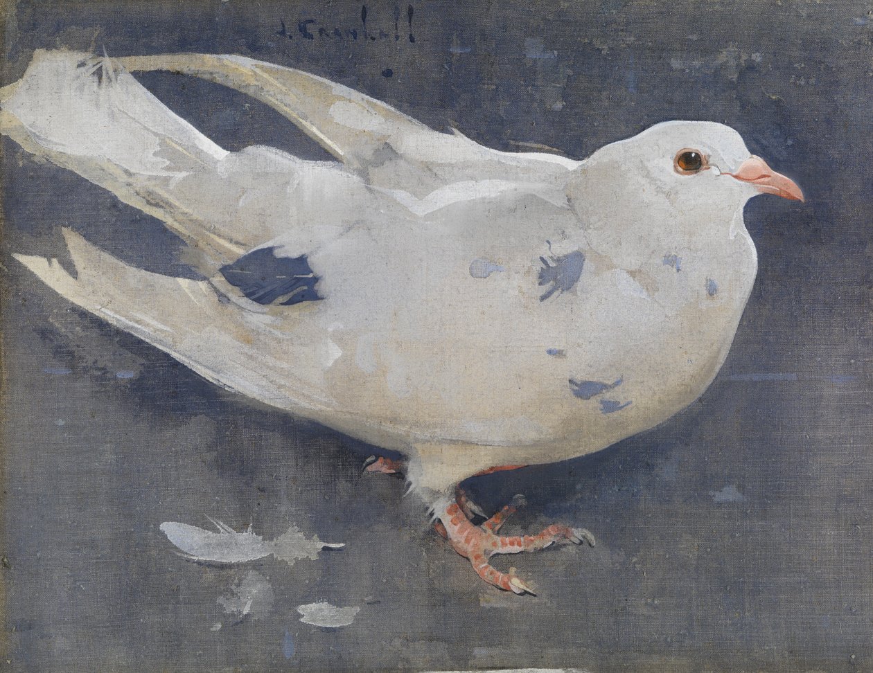 De duif door Joseph Crawhall