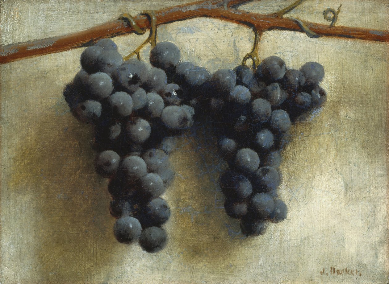 Druiven, ca.1890-1895 (olieverf op doek) door Joseph Decker