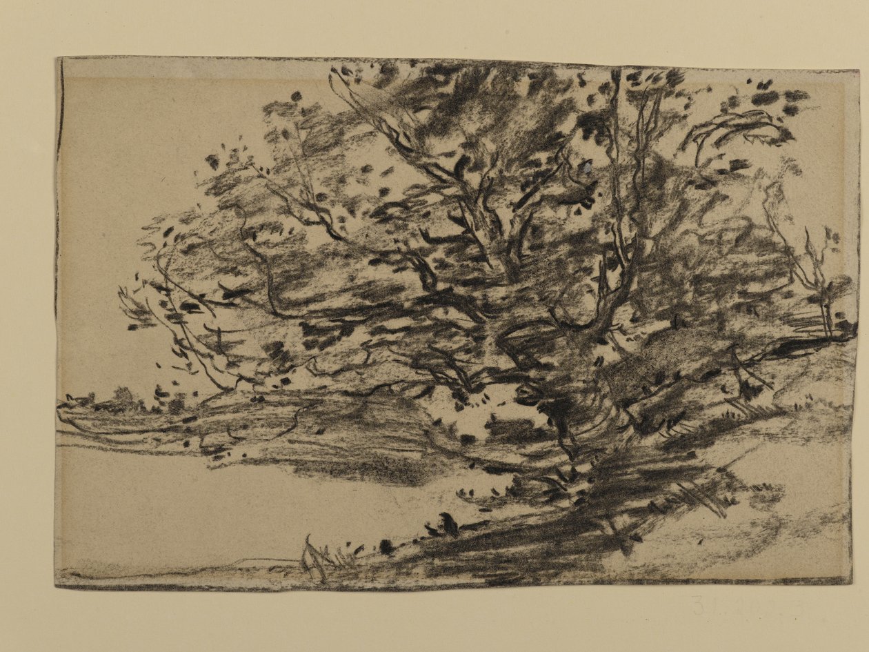 Studie van bomen, 1870 door Joseph Frank Currier