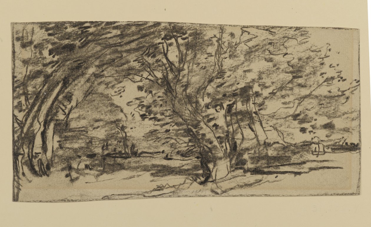 Studie van bomen, 1870 door Joseph Frank Currier