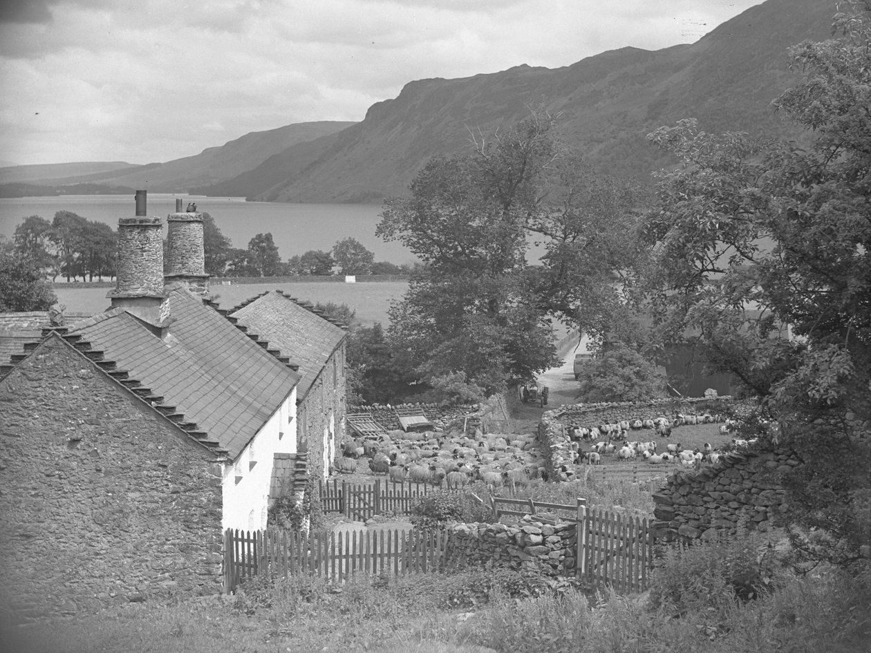Boerderijgebouwen met schapen op het erf en Ullswater op de achtergrond door Joseph Hardman