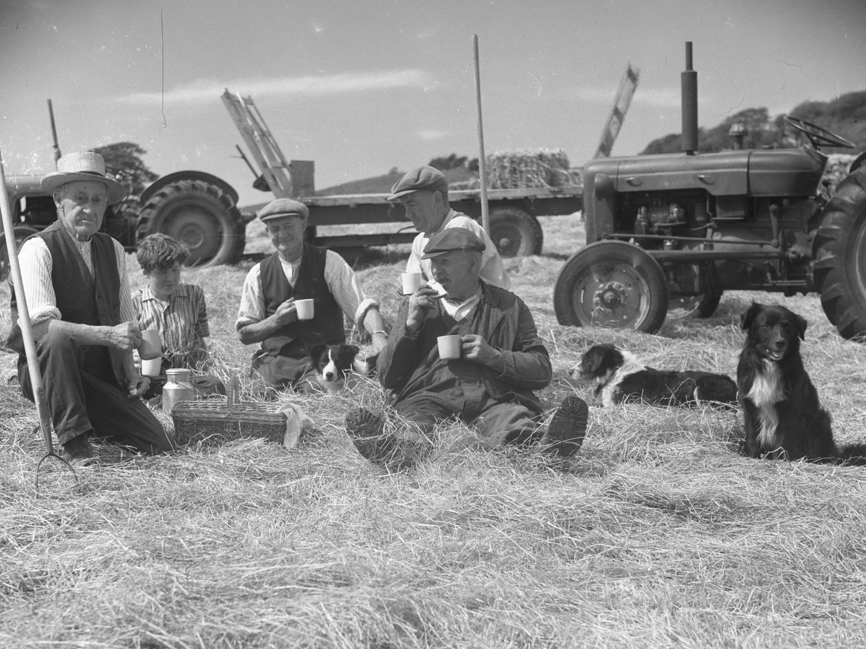 Boeren ontspannen in hooiland met honden en tractoren op achtergrond door Joseph Hardman