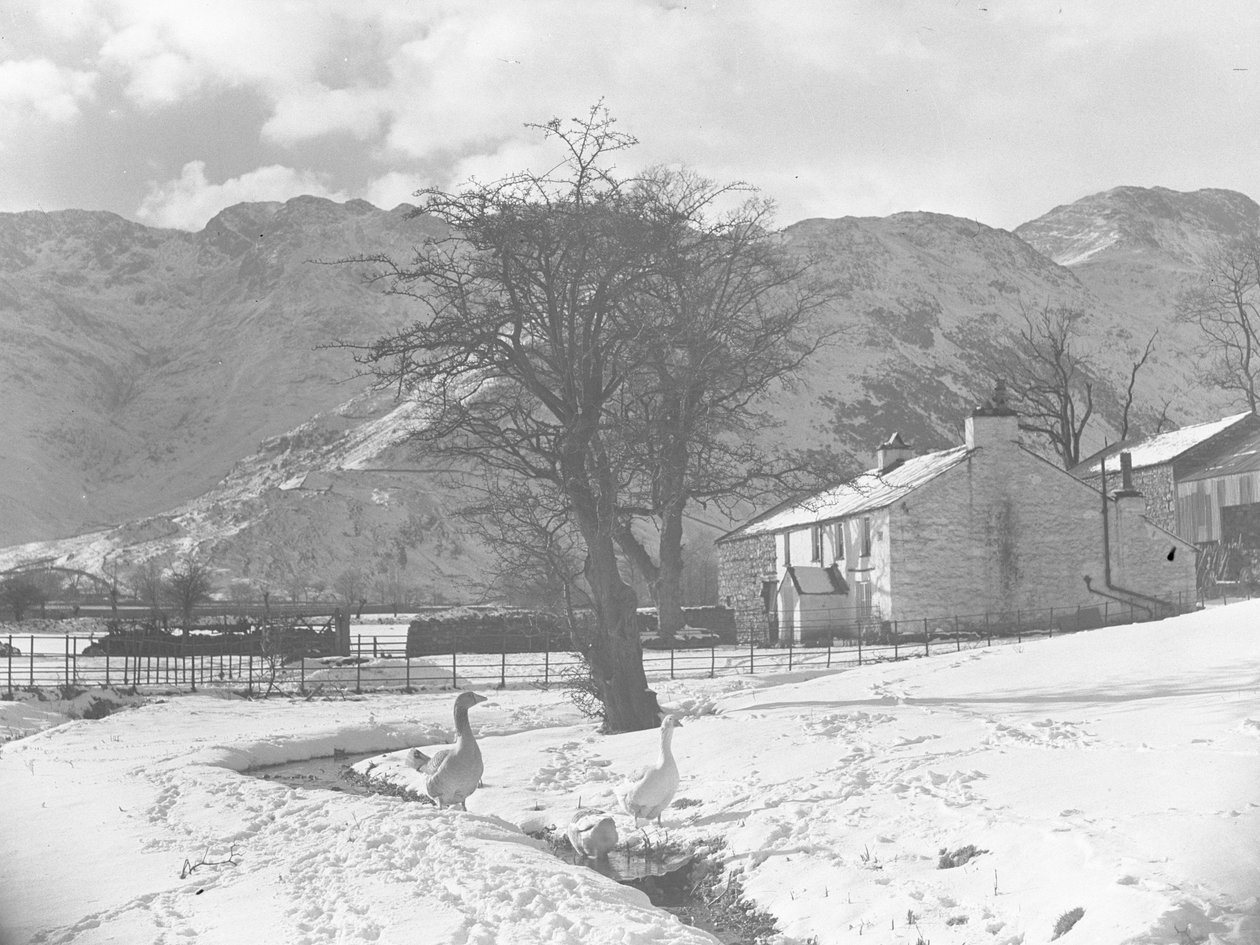 Ganzen op de voorgrond naast een beekje met rondom besneeuwde grond en gebouwen op de achtergrond door Joseph Hardman