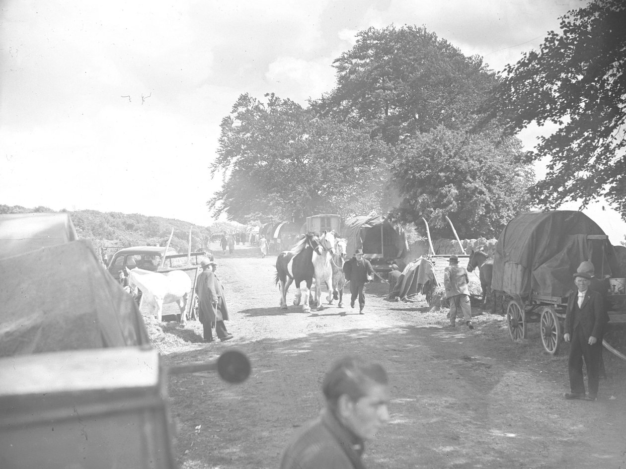 Paarden worden over de weg geleid in Appleby met caravans en auto