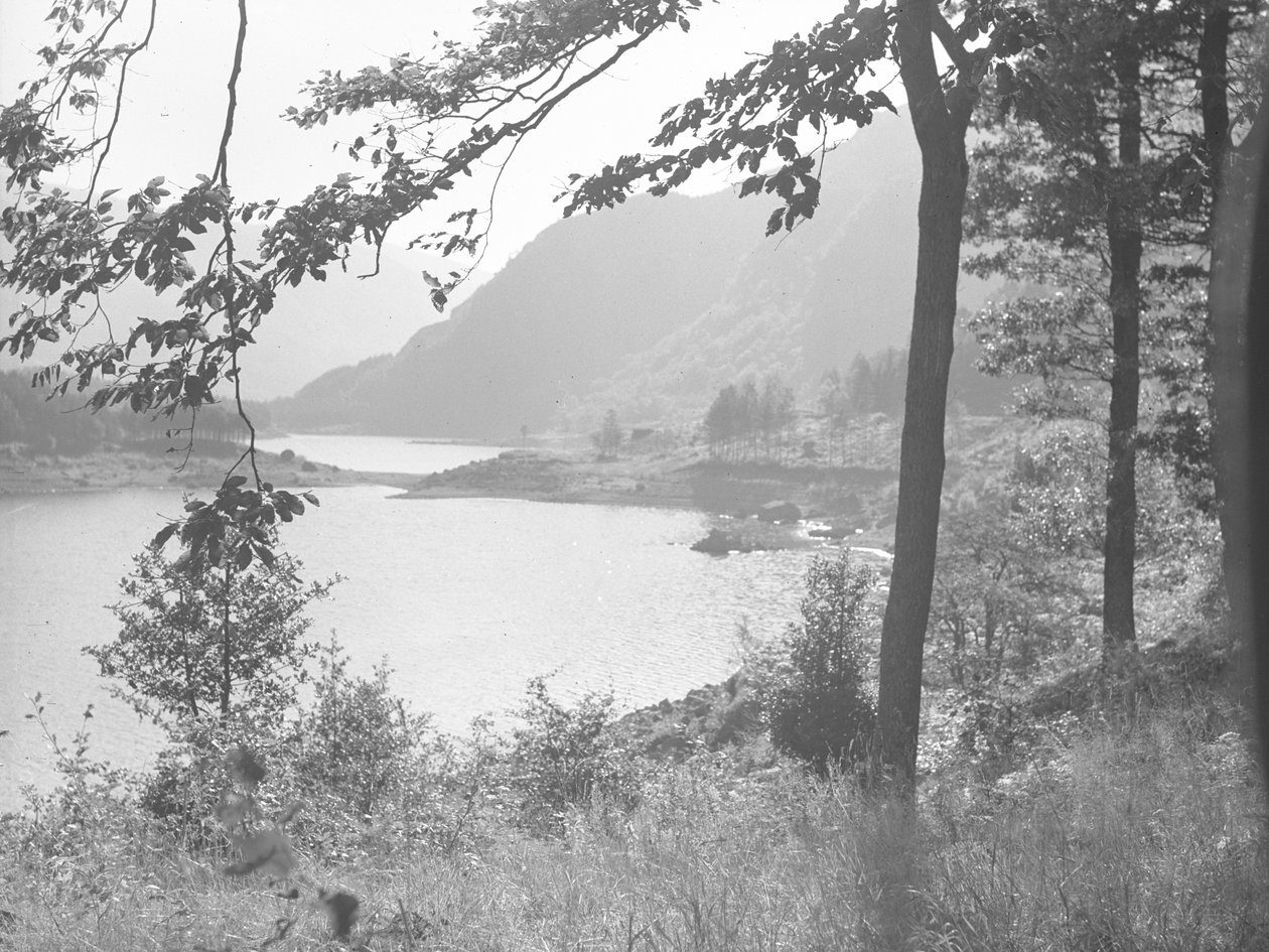 Thirlmere door boomtakken door Joseph Hardman