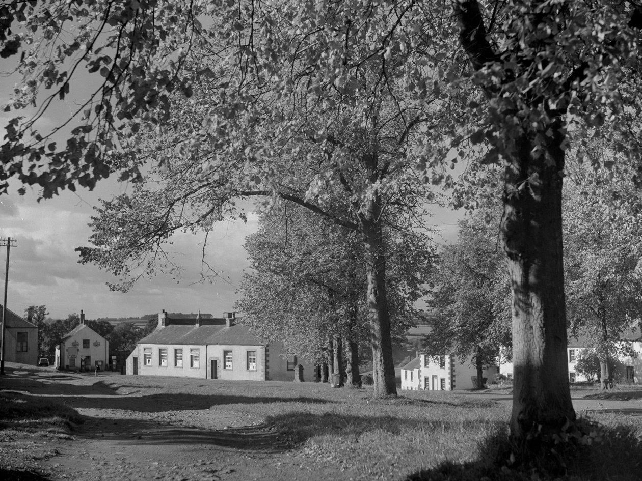 Bomen in blad en zicht op dorpsgebouwen door Joseph Hardman