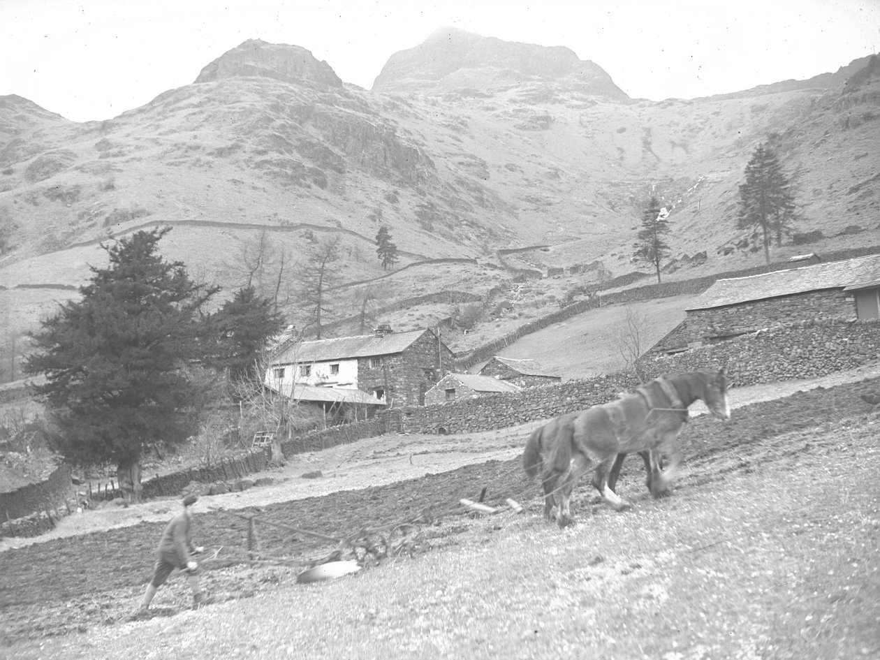 Twee paarden aan het ploegen met één landarbeider door Joseph Hardman