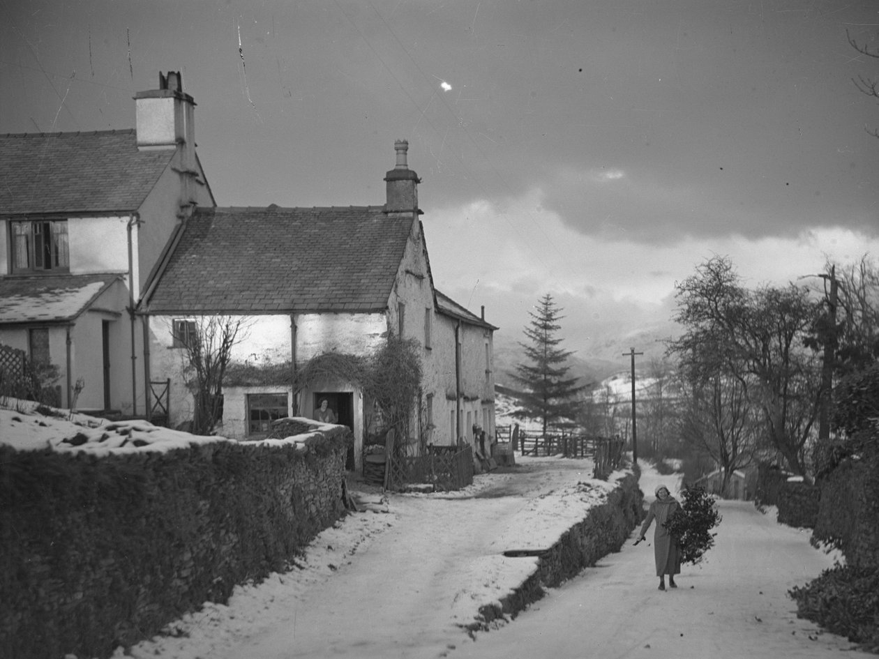 Vrouw draagt tak op de weg naast Borwick Fold Farm in Hawkshead in de sneeuw door Joseph Hardman