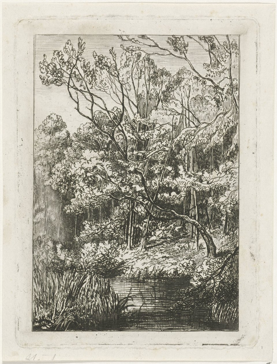 Bosgezicht door Joseph Hartogensis