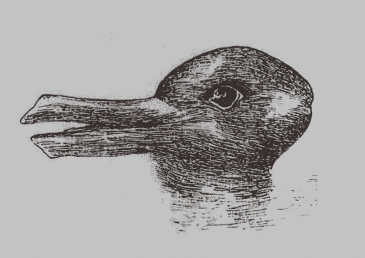 Eend-Konijn illusie. Uit: Jastrow, J. Het oog van de geest. Popular Science Monthly, 1899 door Joseph Jastrow
