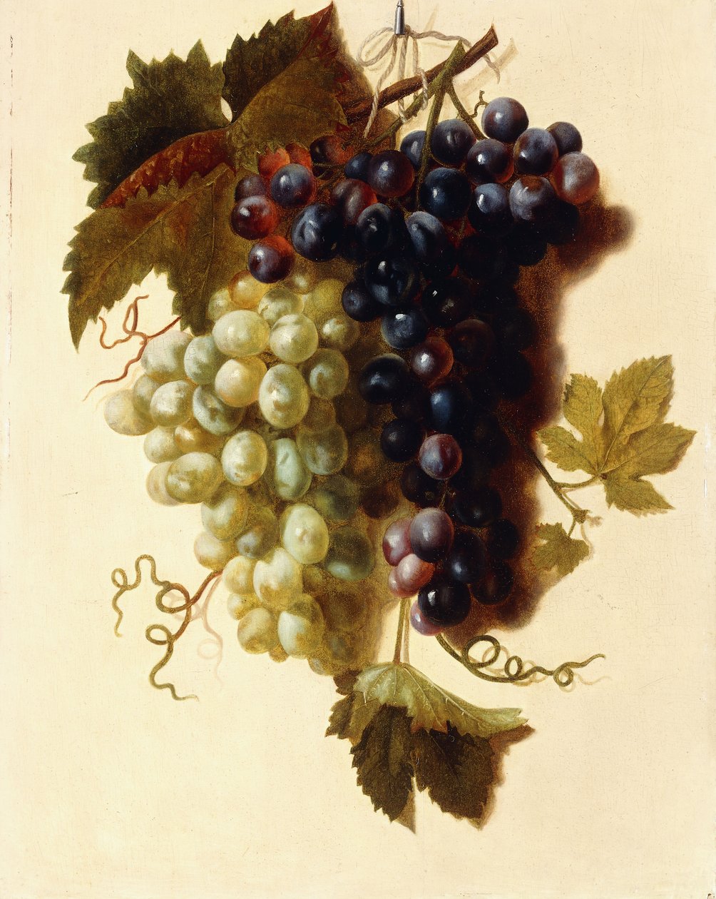 Trossen Groene en Rode Druiven opgehangen aan een Touw, c.1796 door Joseph Laurent Malaine