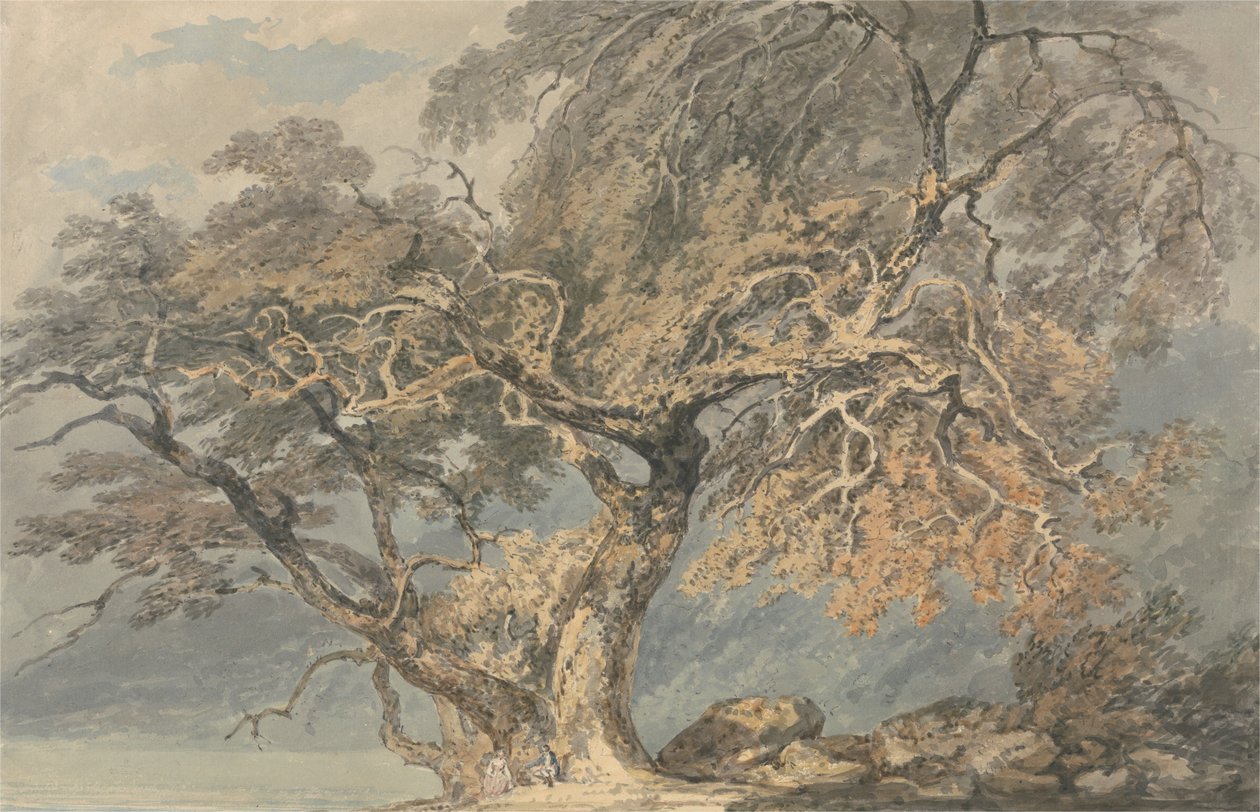 Een grote boom door Joseph Mallord William Turner