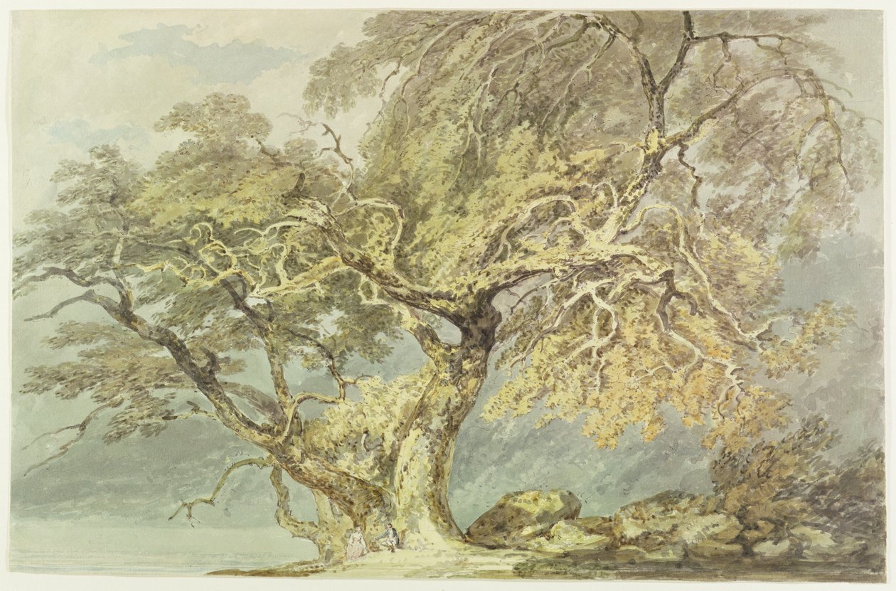 Een grote boom, c.1796 door Joseph Mallord William Turner