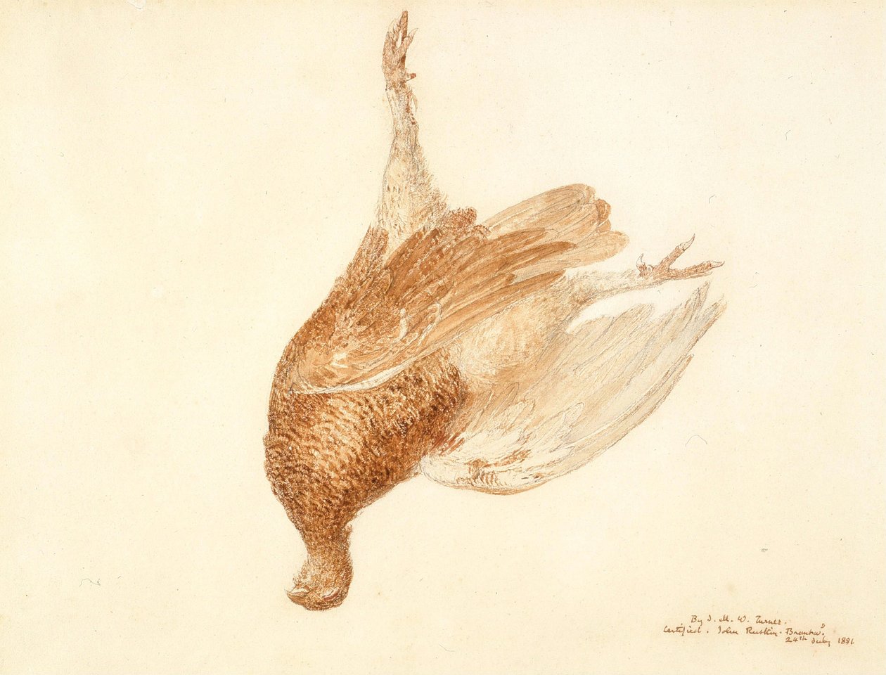 Dood korhoen door Joseph Mallord William Turner