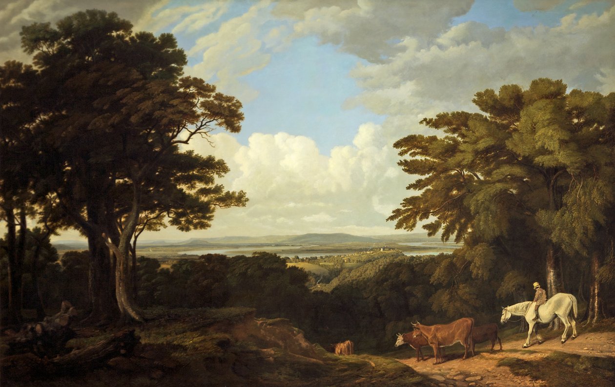 Newnham-on-Severn, Gloucestershire, vanaf Dean Hill door Joseph Mallord William Turner
