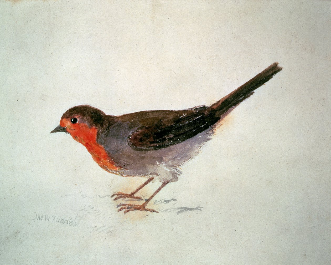 Roodborstje, uit The Farnley Book of Birds, c.1816 door Joseph Mallord William Turner