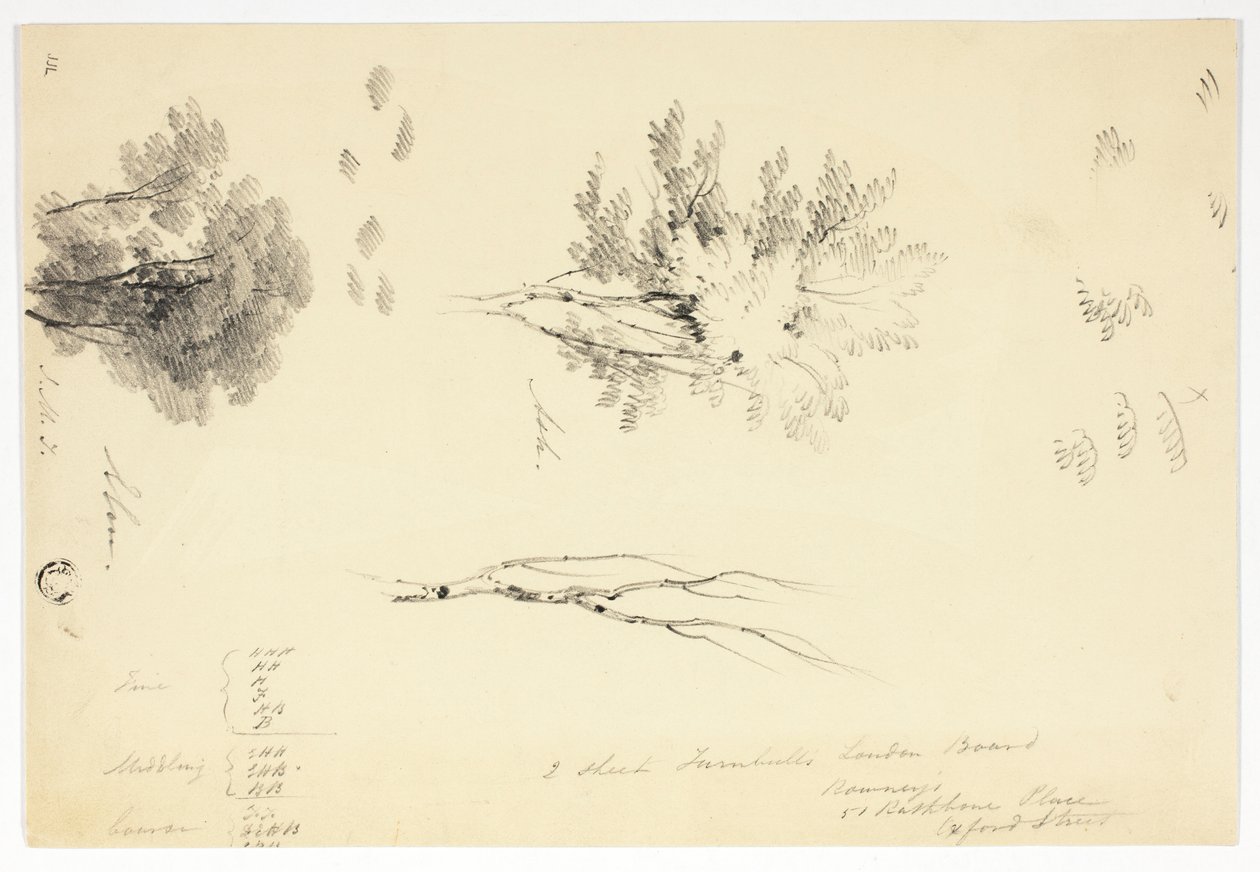 Schetsen van iepen en essen door Joseph Mallord William Turner