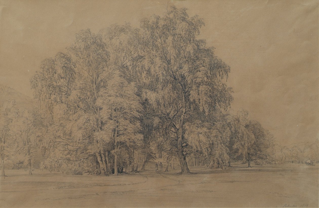 Berkengroep in het park van kasteel Seebenstein in Neder-Oostenrijk door Joseph Martin Höger