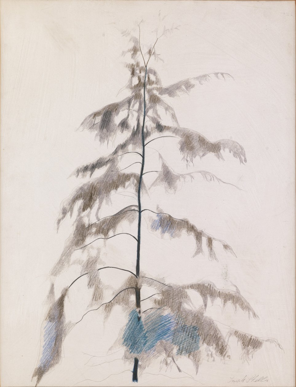 Dennenboom door Joseph Stella
