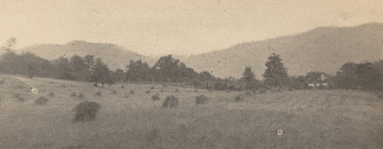 Landschap met bomen en bergen,c. 1900 (foto) door Joseph T. Keiley