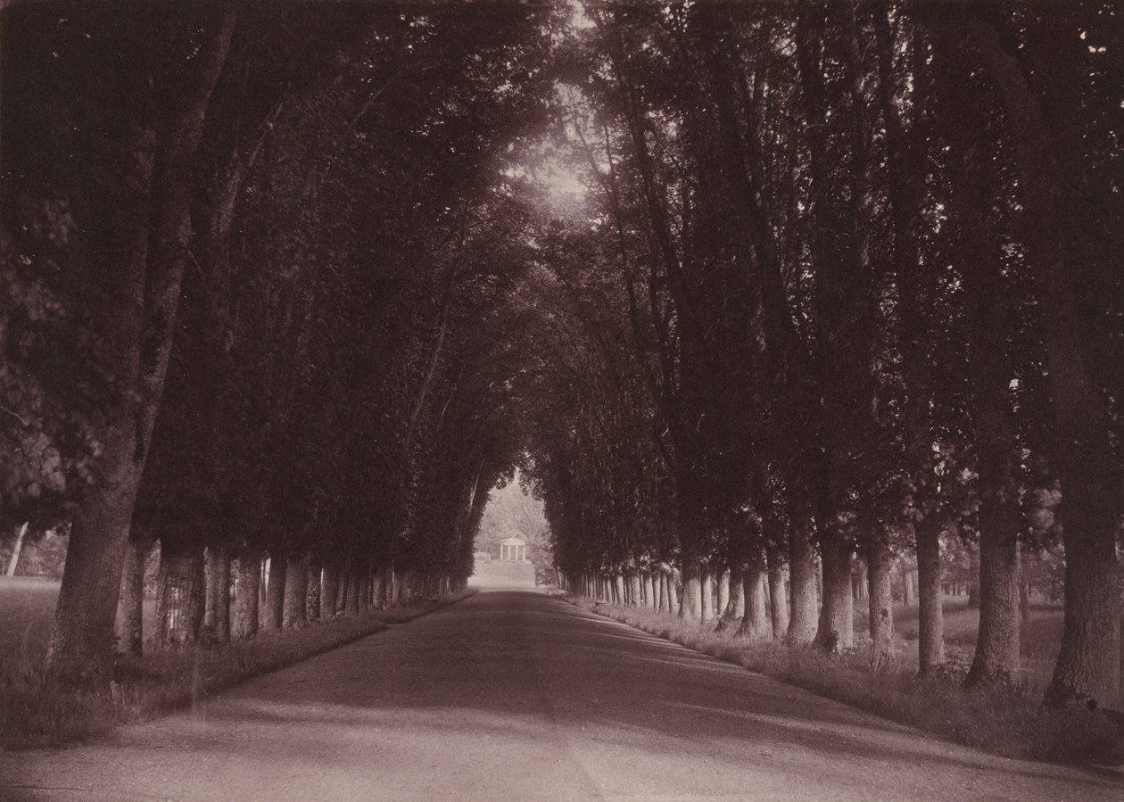 Oprijlaan, Château de Grand-Vaux, Savigny-sur-Orge, het familiehuis van Vigier,c. 1855 (foto) door Joseph Vigier