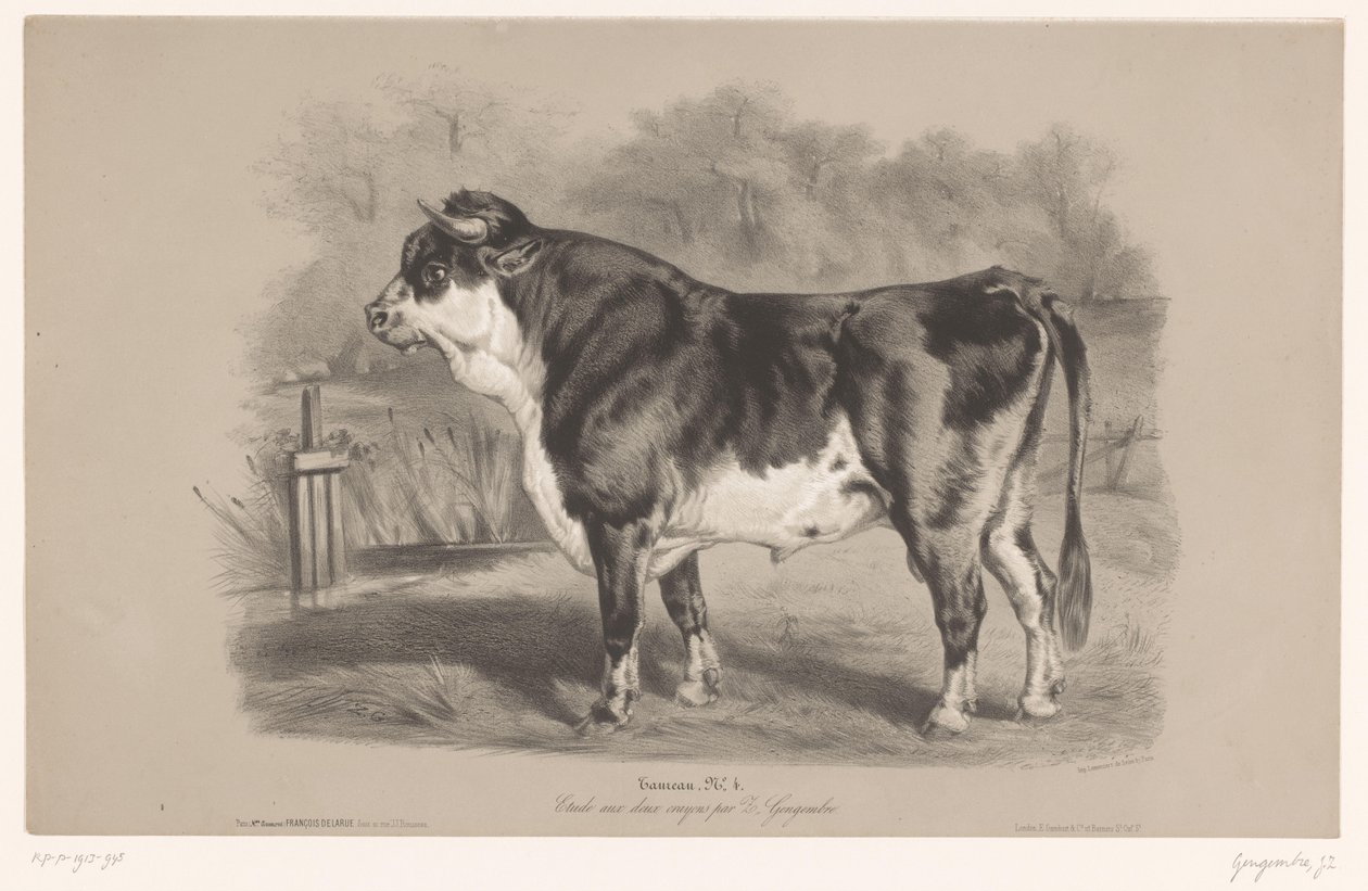 Stier in een weiland door Joseph Zephyris Gengembre