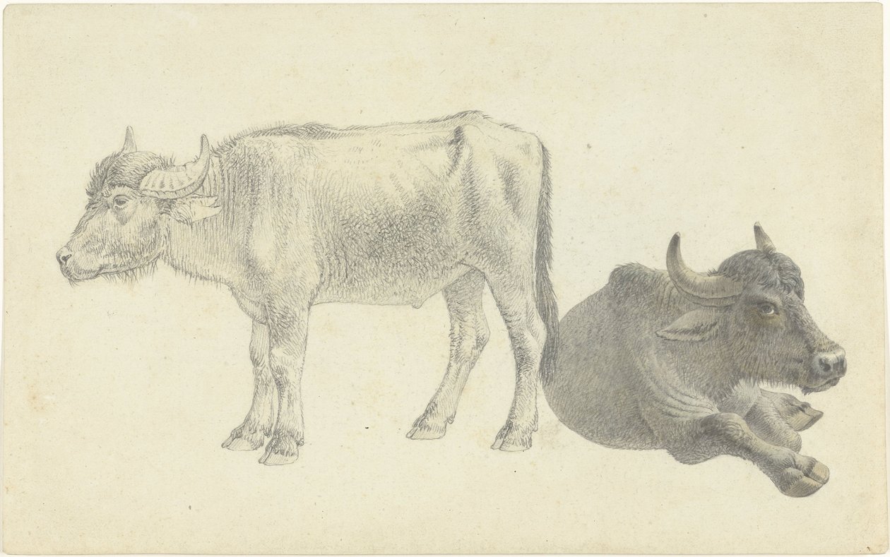 Liggend en staand rund door Josephus Augustus Knip