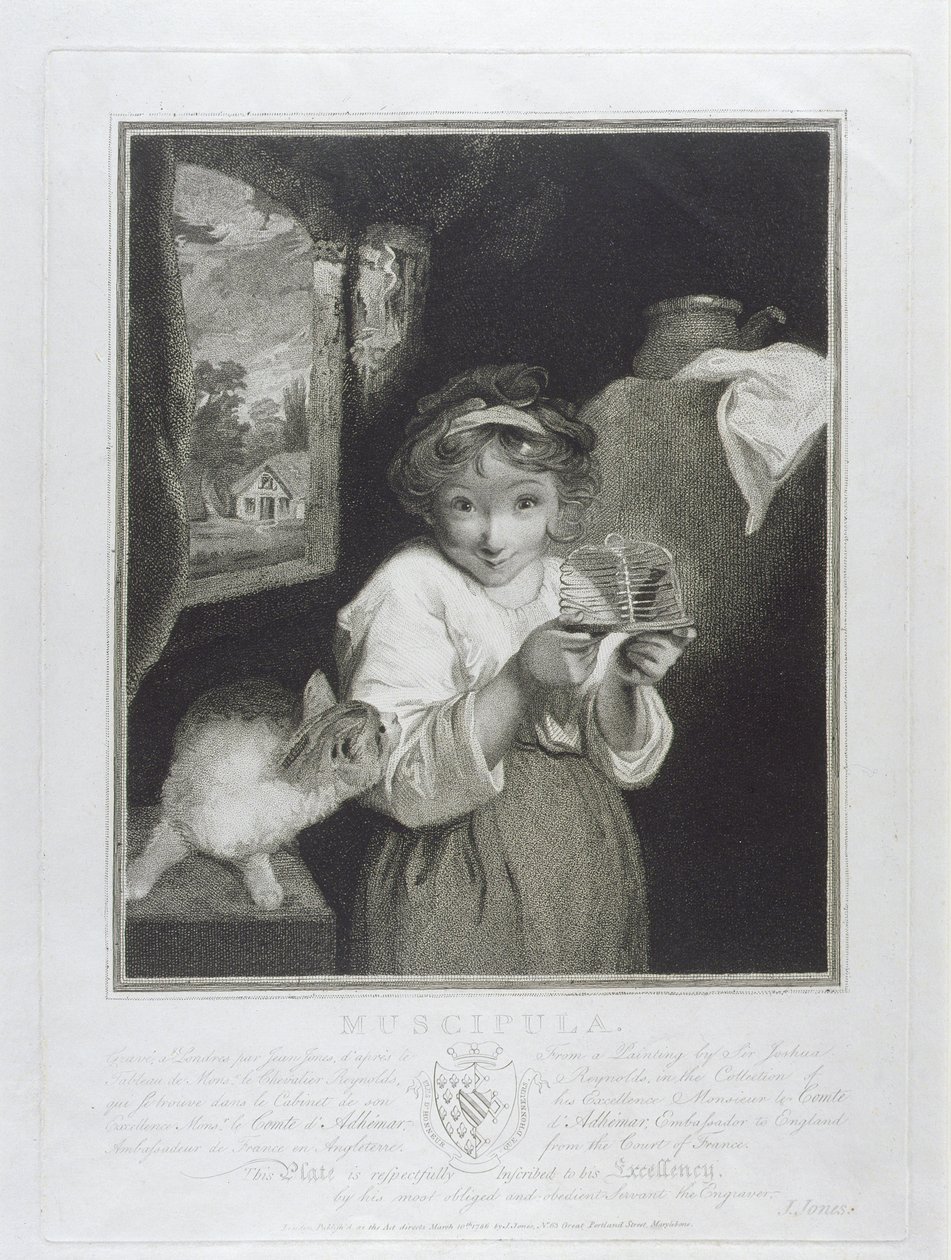 Muscipula, gegraveerd door John Jones, 1786 door Joshua Reynolds