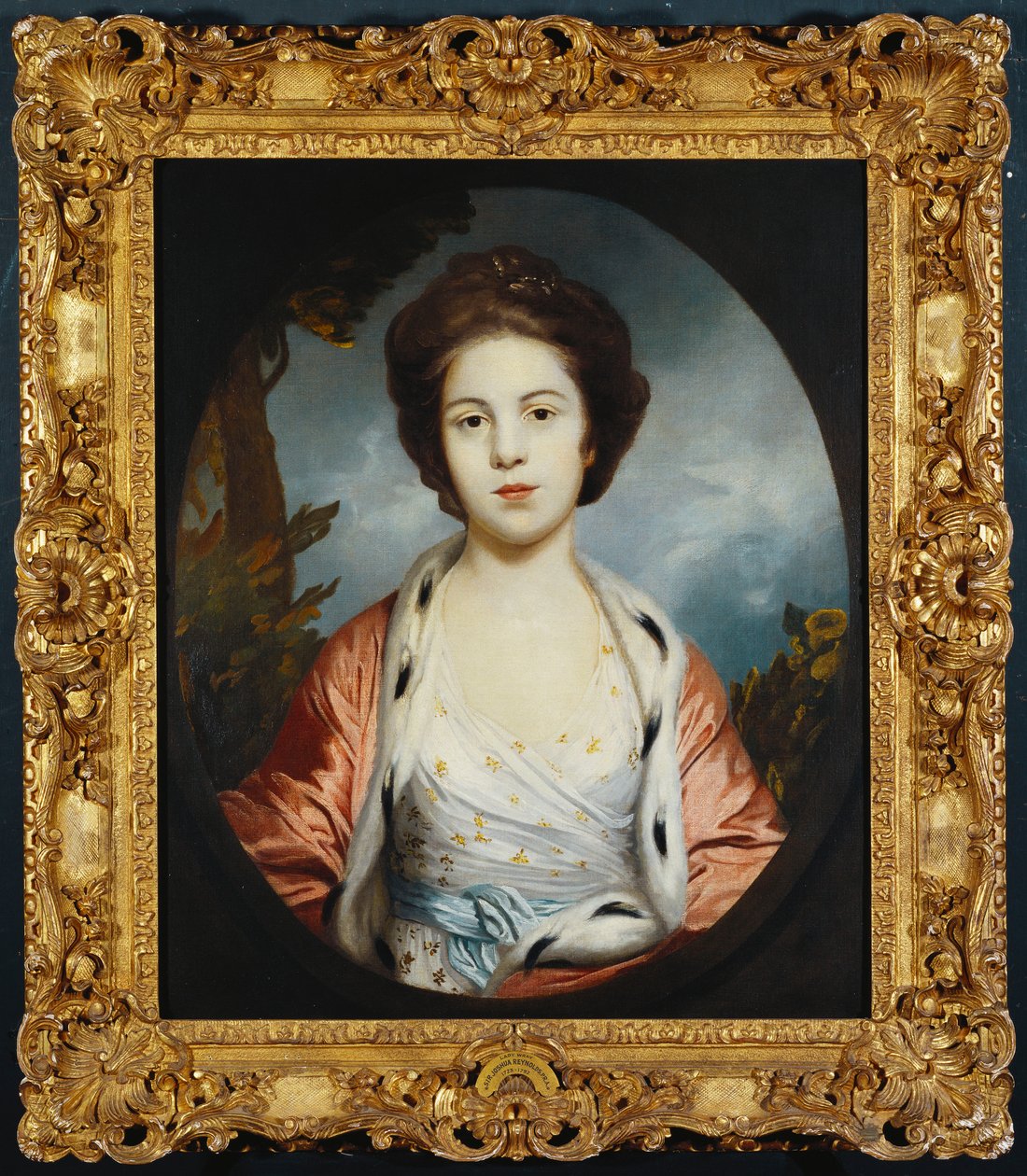 Portret van Esther, Lady Wray, in een witte jurk, een goud en roze hermelijnen mantel, een landschap daarachter door Joshua Reynolds