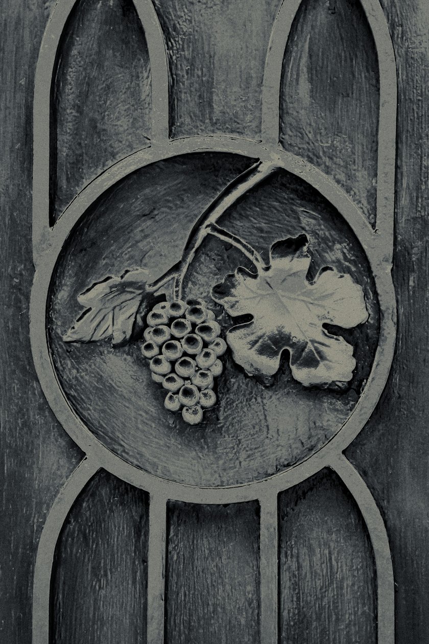 Fruits of the Garden, uit de serie The Observant, 2016 (foto) door Joy Lions