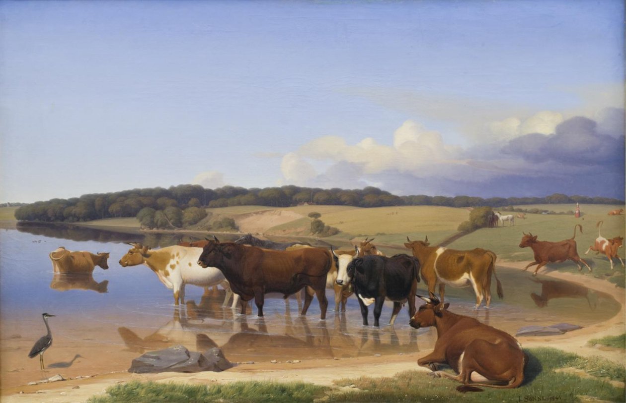 Een kudde vee zoekt verkoeling in een meer op een hete zomerdag door Jørgen V. Sonne