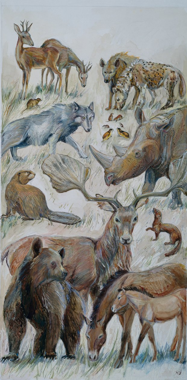 Boxgrove dieren geïdentificeerd door opgraving (aquarel op papier) door Judith Dobie