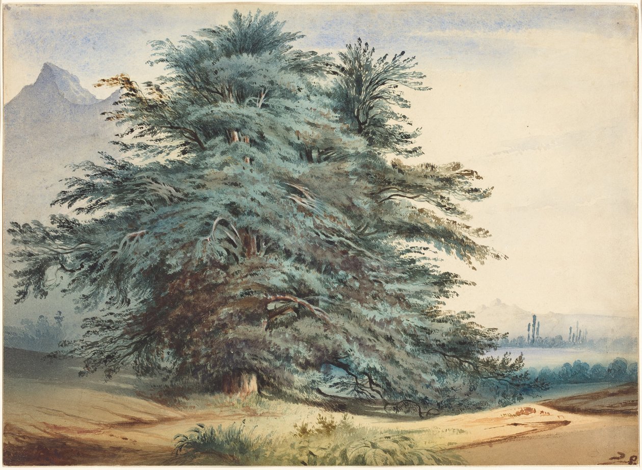 Twee oude bomen voor een bergtop door Jules Dupré