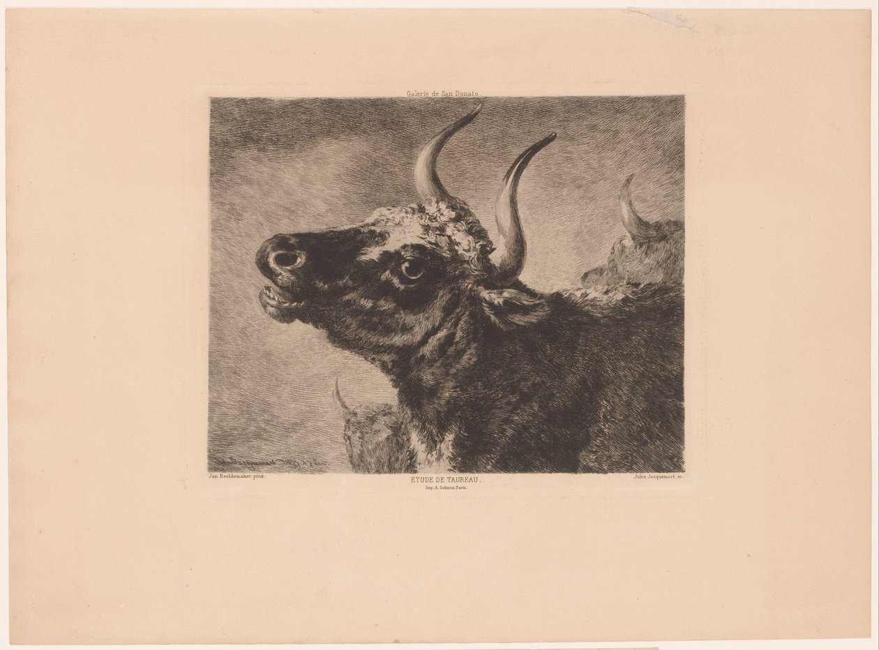 Hoofd van een stier door Jules Ferdinand Jacquemart