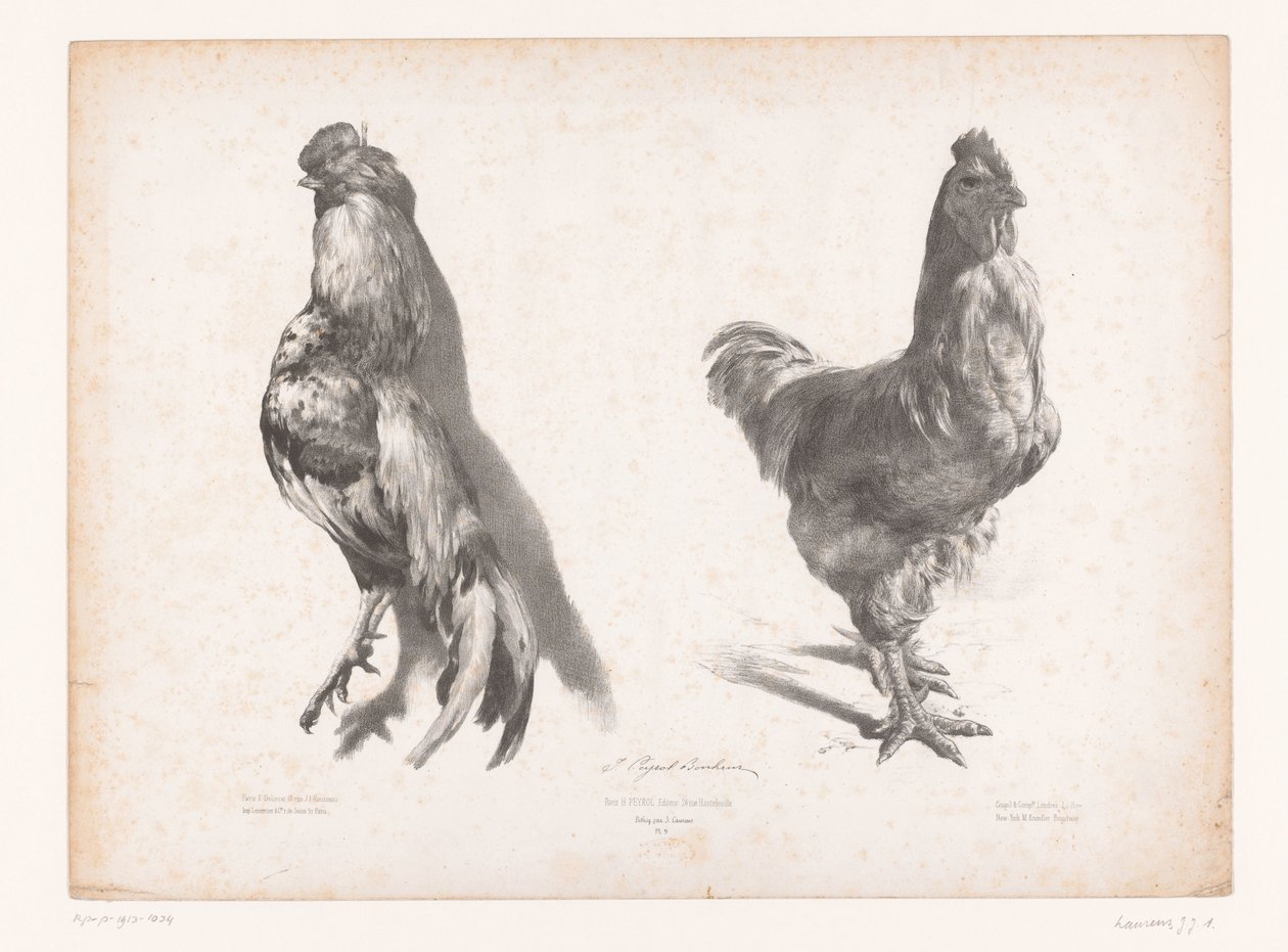 Studie van een dode en een levende kip door Jules Joseph Augustin Laurens