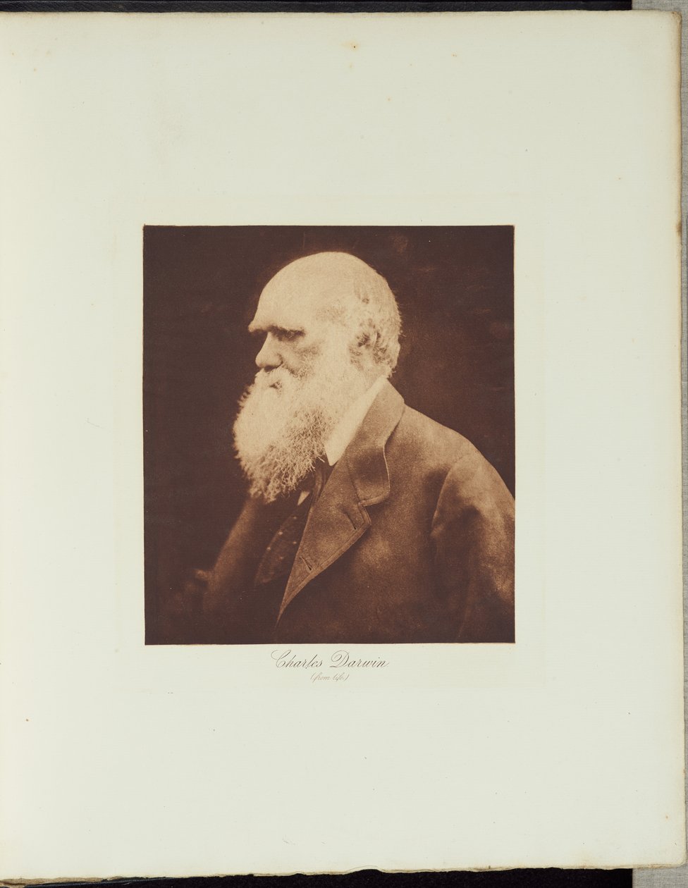 Charles Darwin door Julia Margaret Cameron