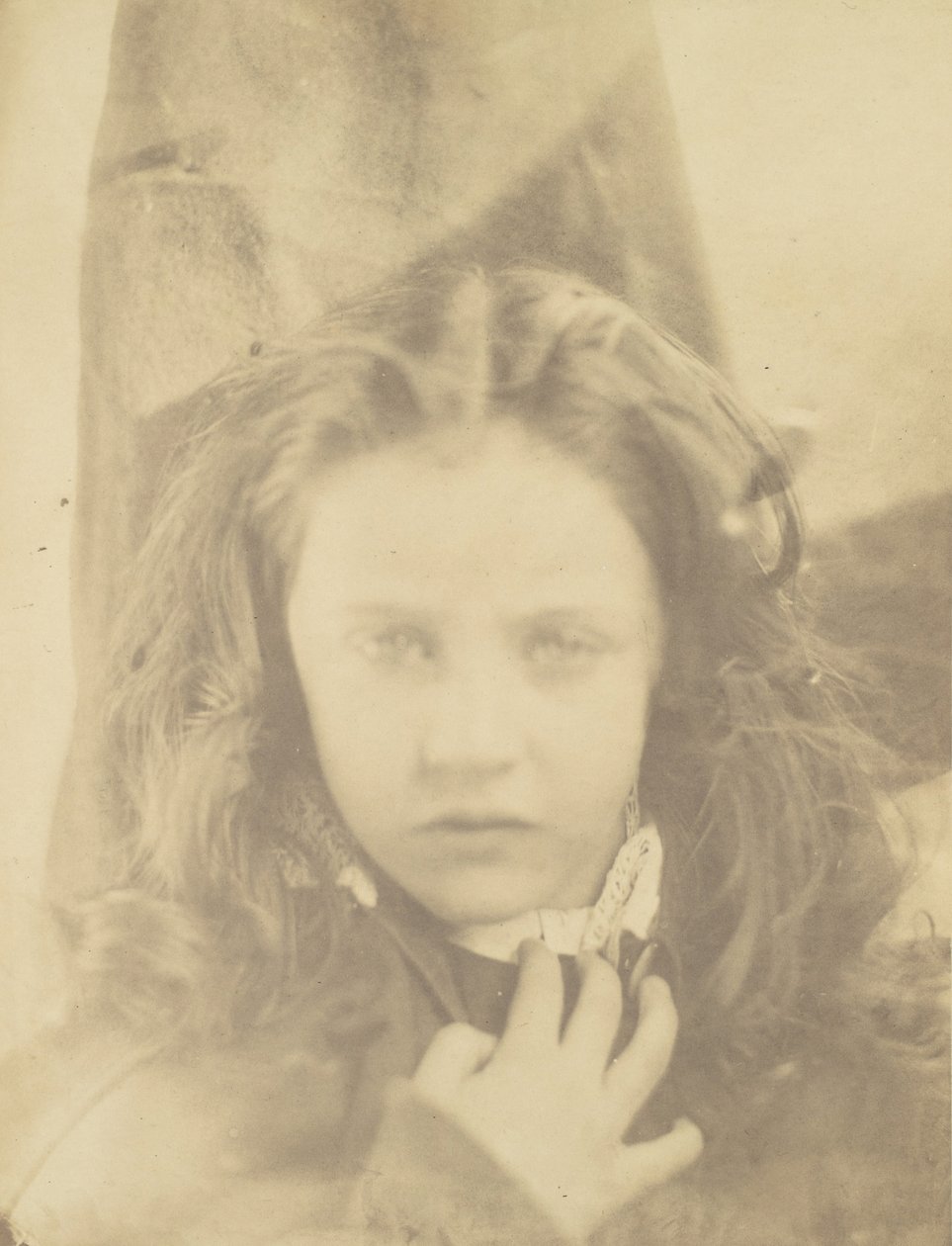 Madeliefje door Julia Margaret Cameron