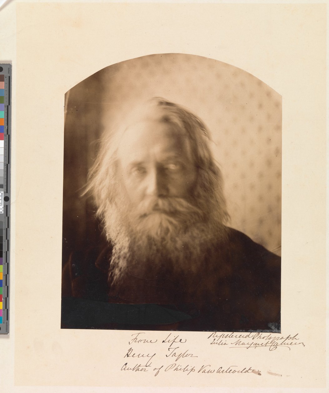 Henry Taylor. Auteur van „Philip Van Artevelde“ door Julia Margaret Cameron