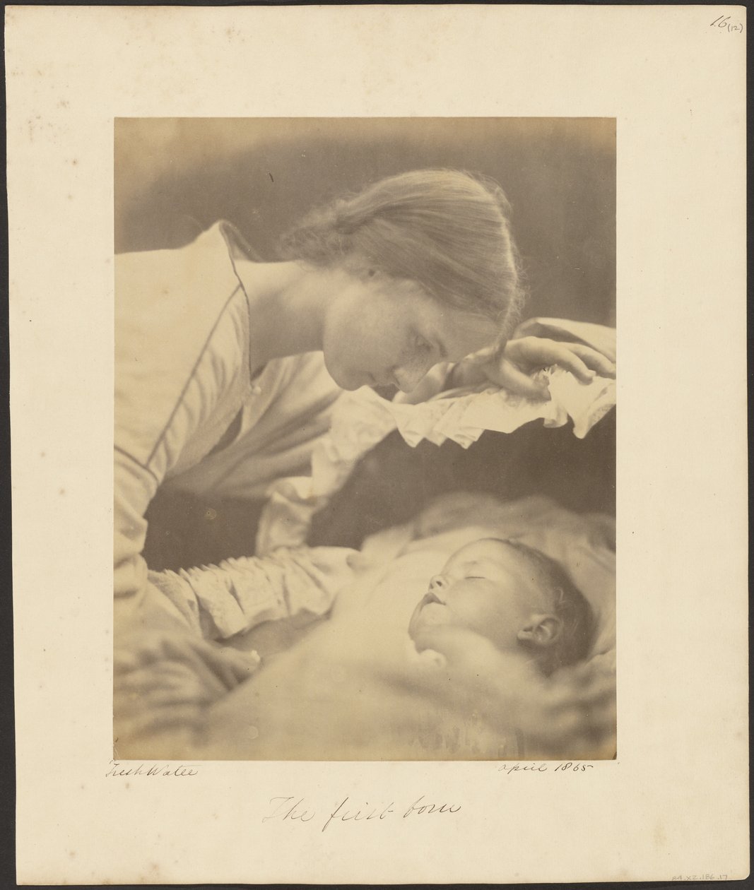 De eerstgeborene door Julia Margaret Cameron