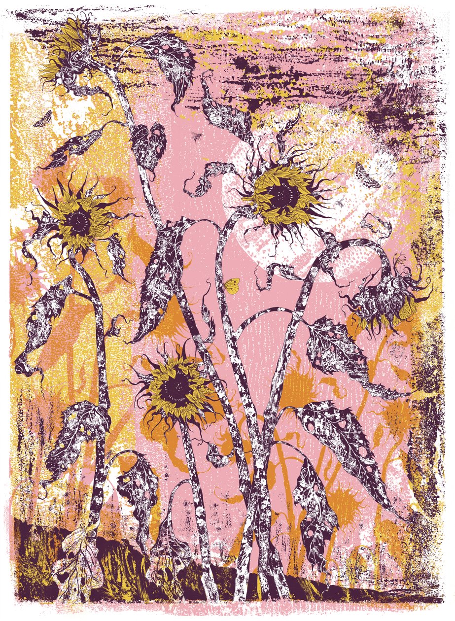 son sine sole iris, 2016 (zeefdruk) door julia McKenzie