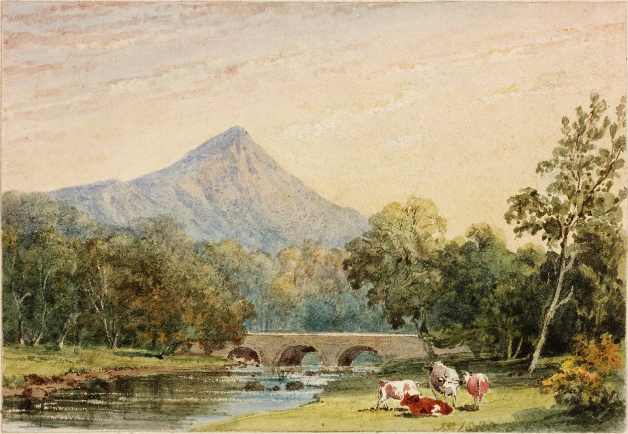 Sugarloaf Hill vanaf Tynnahinch door Julia Swinburne