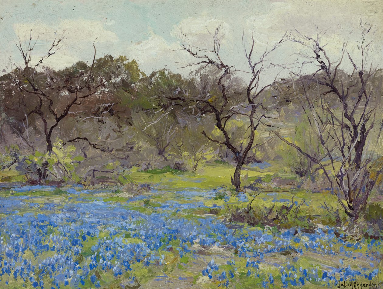 Vroege lente—blauwe lupines en mesquite door Julian Onderdonk