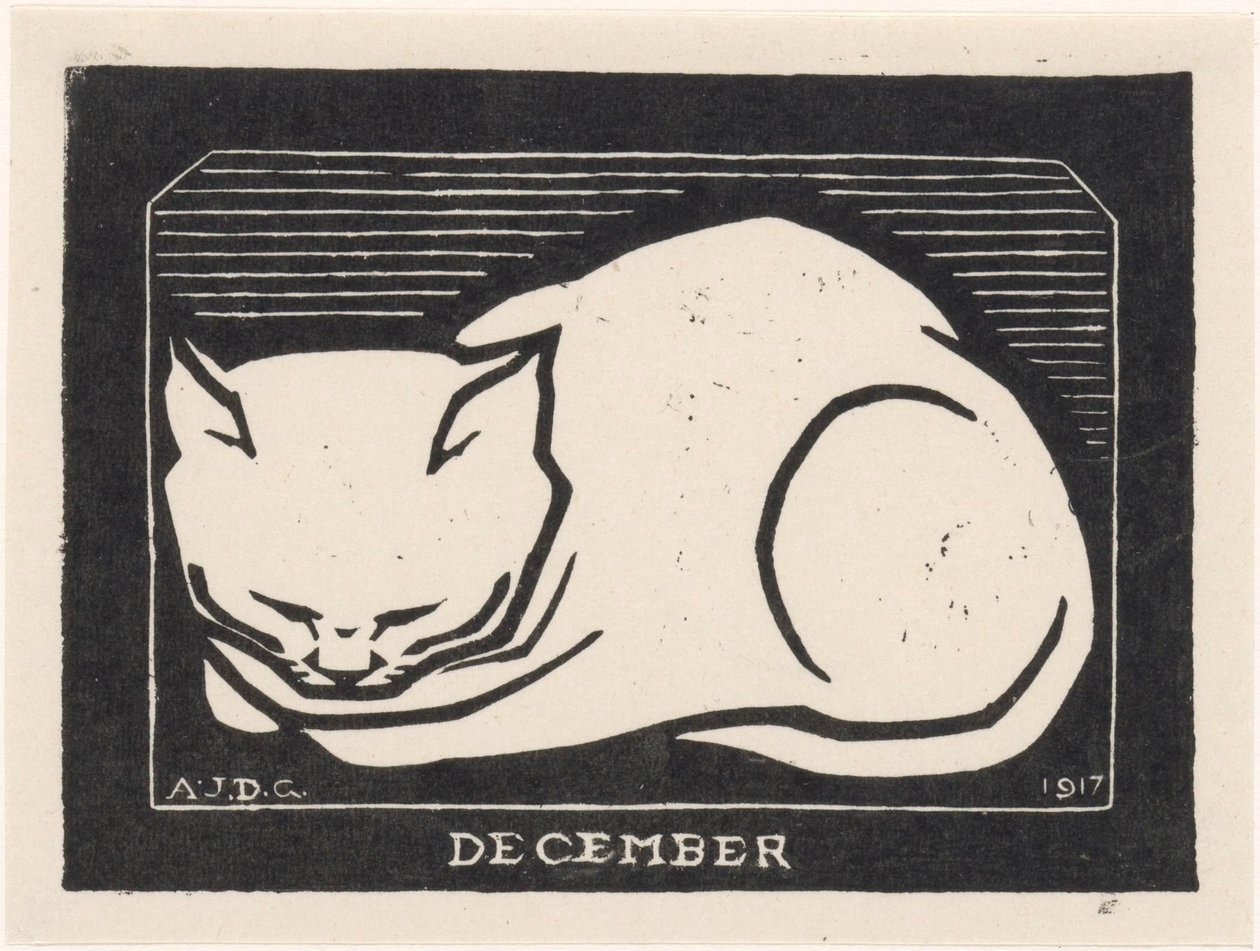 December door Julie de Graag
