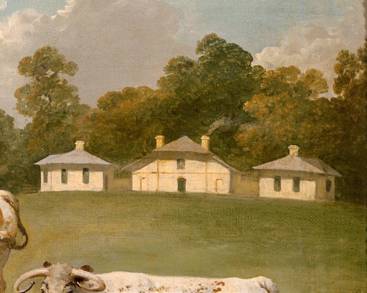 Drie langhoornige runderen in landschap (detail) door Julius Caesar Ibbetson