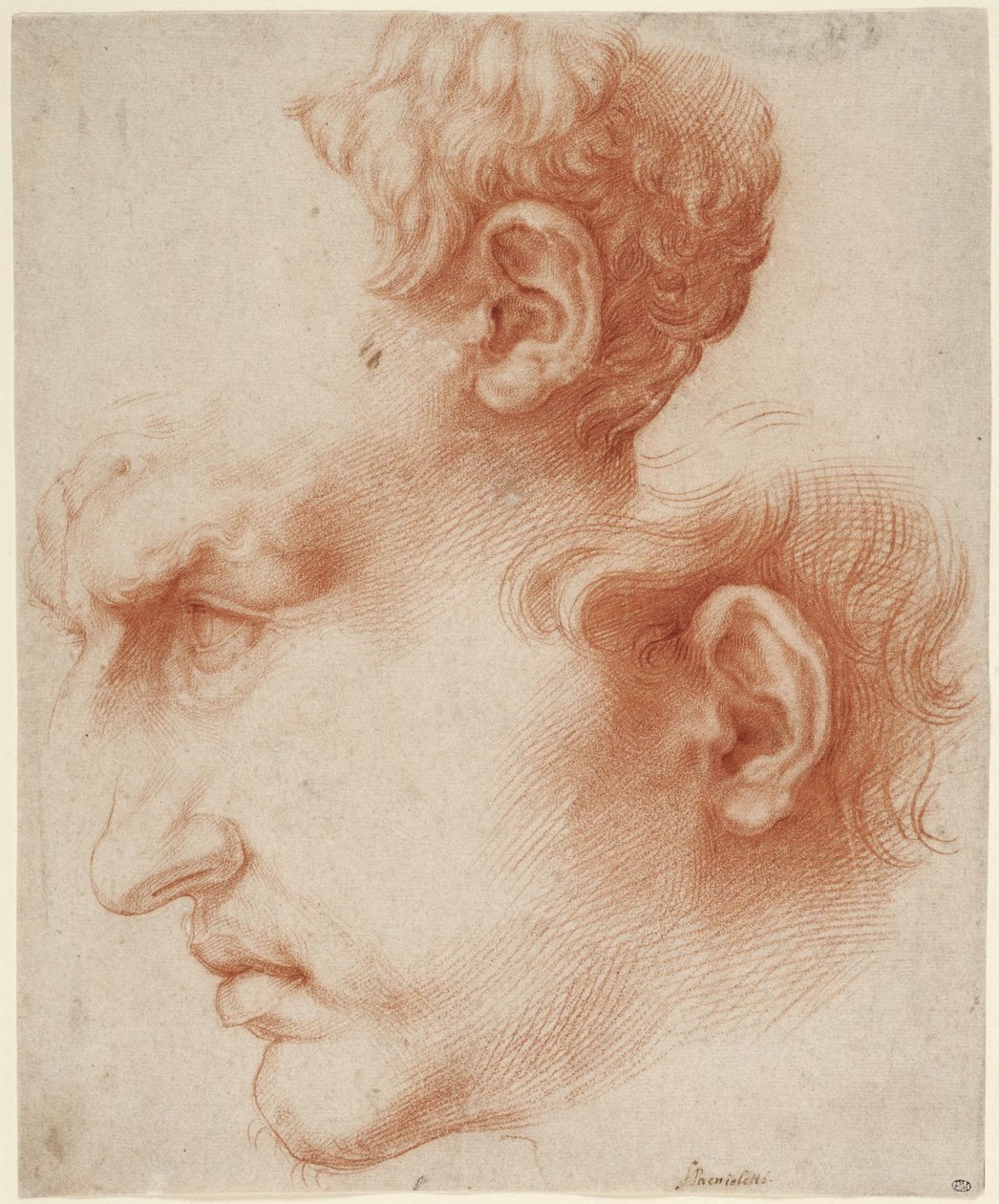 Studien eines männlichen Kopfes im Profil door Jusepe de Ribera
