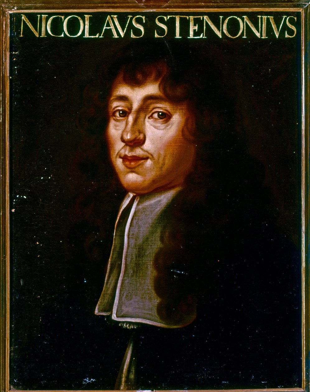 Portret van Nicolas Steno (olieverf) door Justus Sustermans