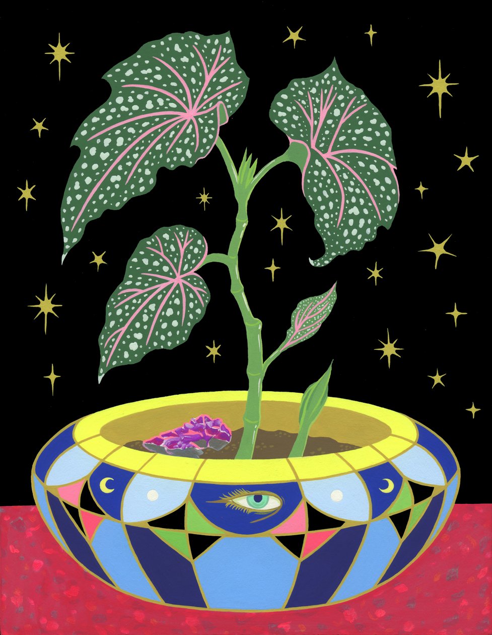 Begonia in een pot door Kam Tsz