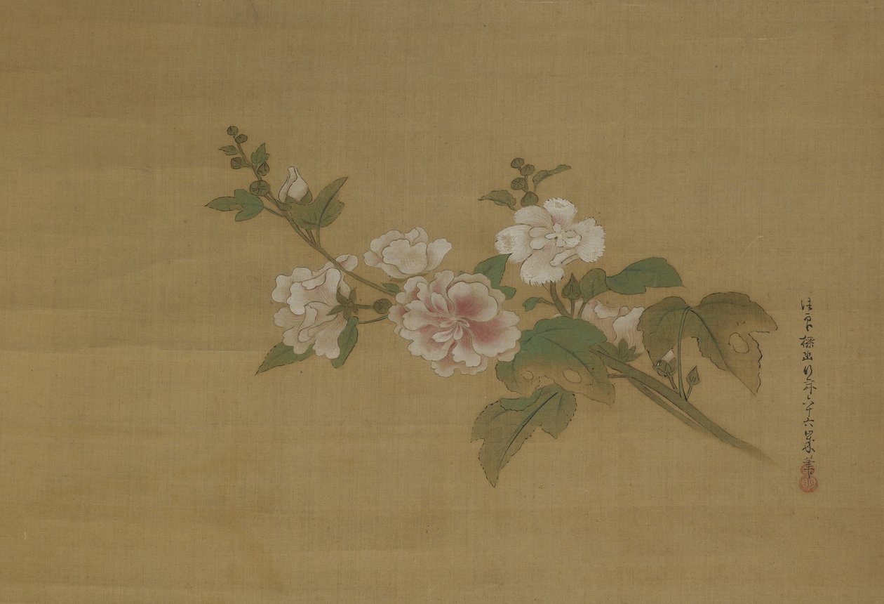 Een tak van bloeiende hibiscus, Edo-periode (kleur op zijde) door Kano Tanyu